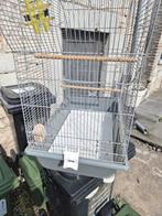 Cage a oiseaux, Enlèvement