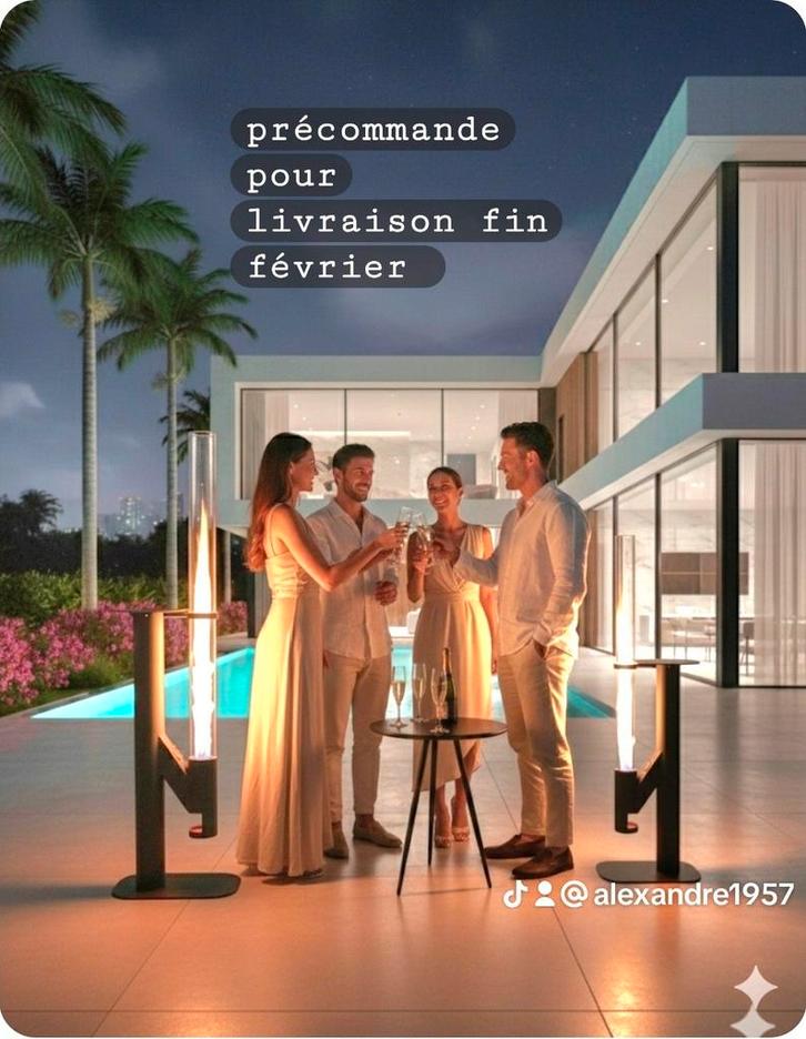 NEW chauffage de terrasse au pelllet professionnel horeca, Tuin en Terras, Terrasverwarmers, Nieuw, Vloer, Ophalen