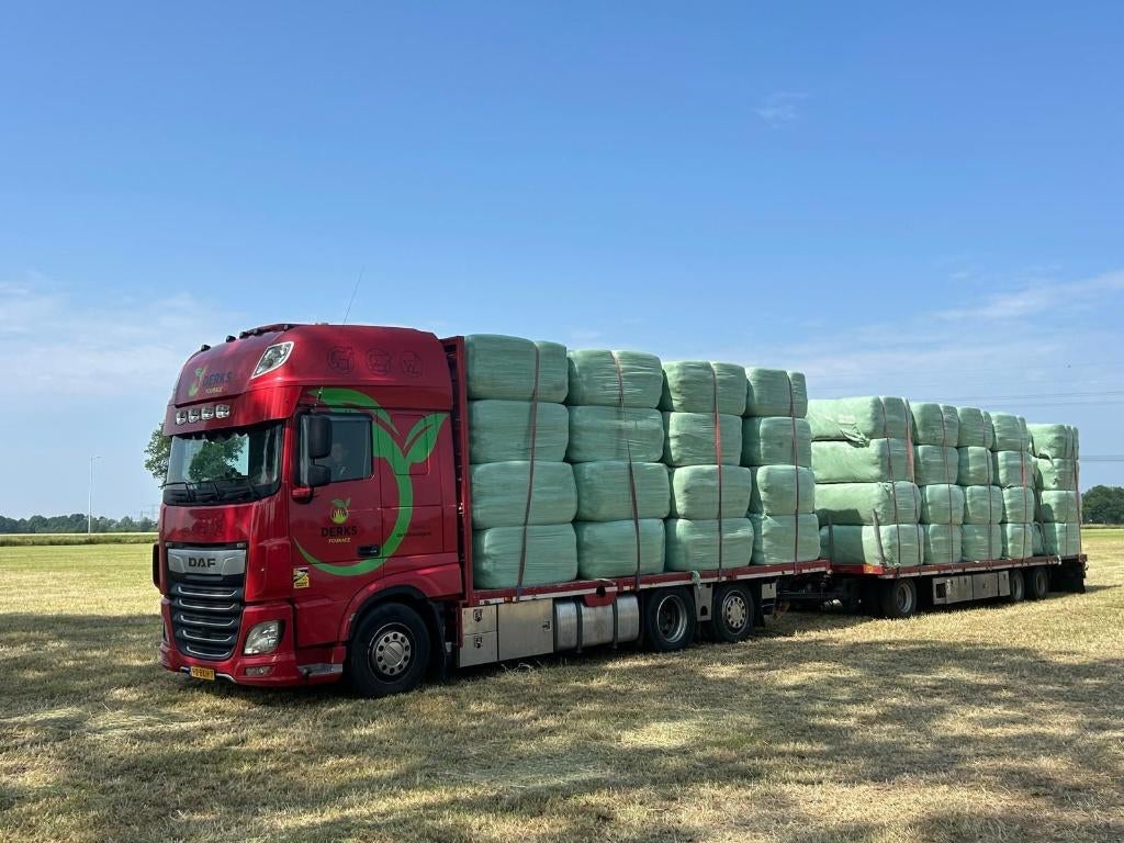 GEZOCHT: grote partijen voordroog direct vanaf het land, Enlèvement ou Envoi, Bétail