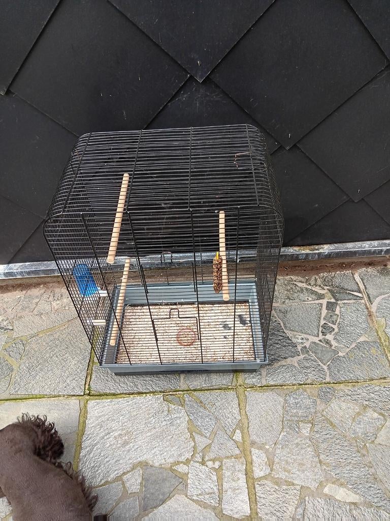 Grande cage à oiseaux, Enlèvement