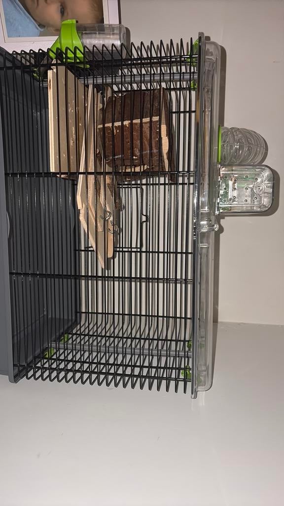 Cage hamster, Kooi, 60 tot 90 cm, Minder dan 75 cm, Ophalen of Verzenden
