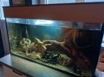 Aquarium met verwarming buitenfilter en toebehoren, Dieren en Toebehoren, Ophalen