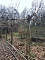 Dakplaten, Ophalen of Verzenden