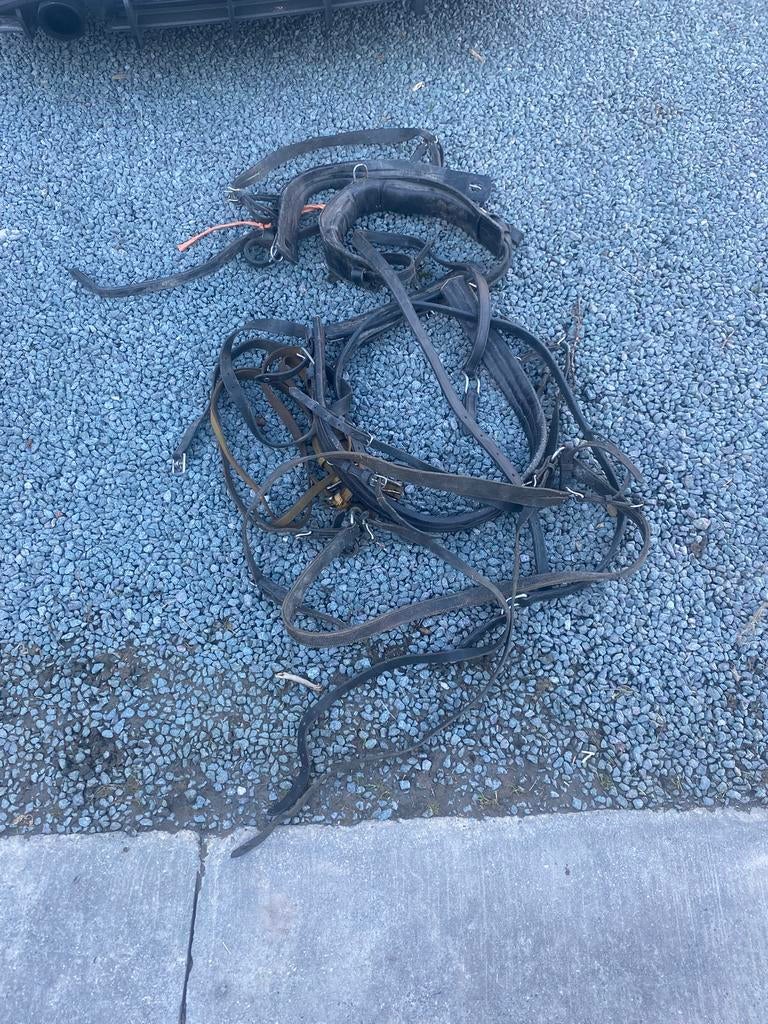 Men/koets gerief, Dieren en Toebehoren, Ophalen, Zo goed als nieuw