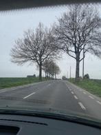 Viager  libre, Immo, Op zoek naar een huis