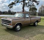 Gezocht: dodge D250 of D350 1989 - 1990 cummins diesel, Auto's, Automaat, Diesel, Particulier, 2 deurs