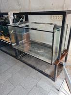 aquarium in dik glas, Enlèvement