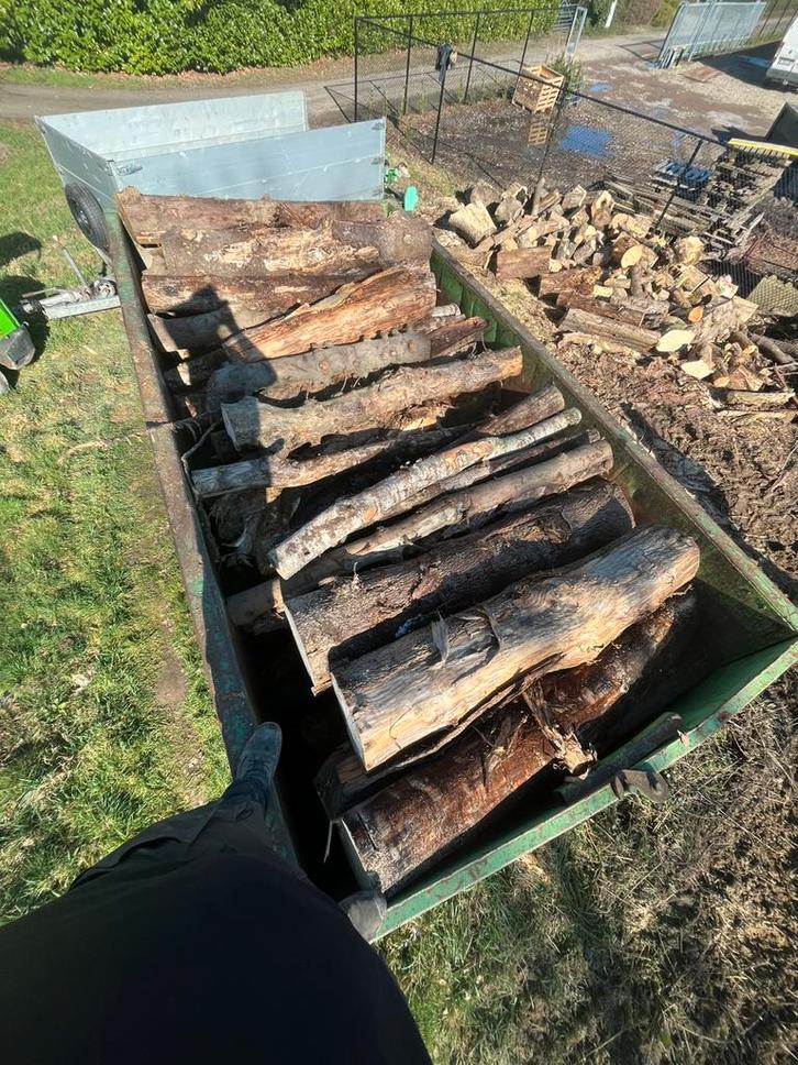 Brandhout container 20 kuub, Tuin en Terras, Brandhout, Stammen, Ophalen