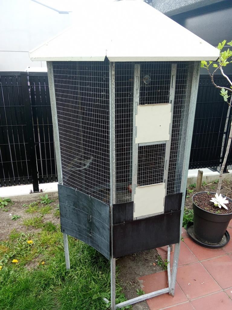 Vogelkooi, Enlèvement, Cage à oiseaux