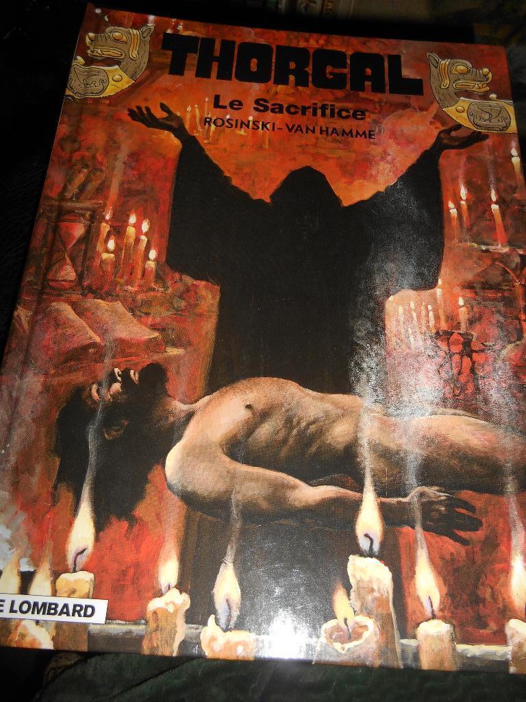 Thorgal 29 eo, Livres, Enlèvement ou Envoi