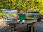 2x Aquarium + Accessoires