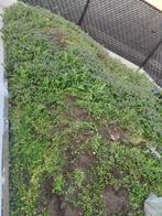 Gratis aarde - zelf op te halen beveren waas, Tuin en Terras, Ophalen