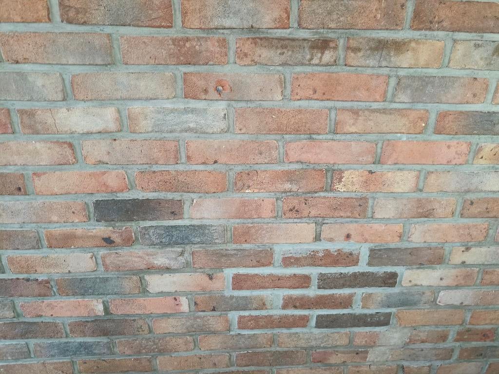 Boomse baksteen, Bricolage & Construction, Briques, Enlèvement, Briques