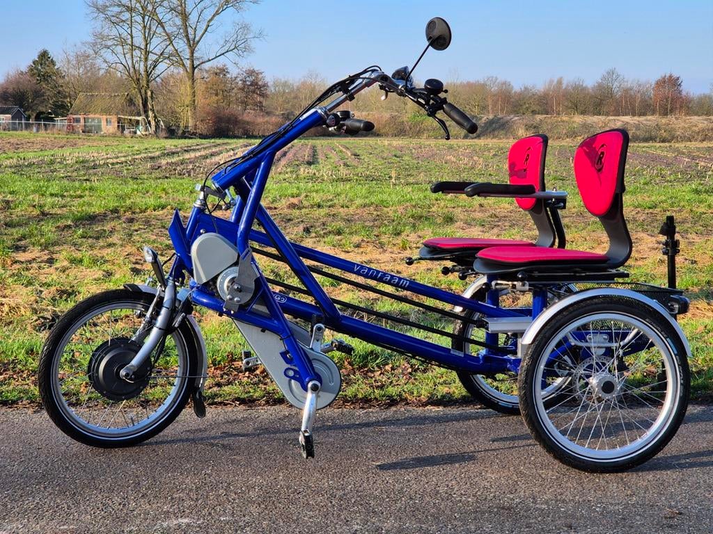 Vélo duo électrique Van Raam élégant, Vélos & Vélomoteurs, Vélos électriques, Enlèvement ou Envoi