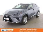 Lexus NX 300h NX 300h E-Four (année de construction 2018), Cuir, Argent ou Gris, Euro 6, 5 portes
