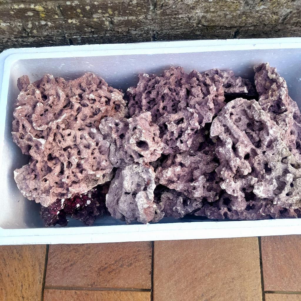 Pierres pour aquarium marin, Animaux & Accessoires, Enlèvement, Comme neuf, Decoratie, Autres marques