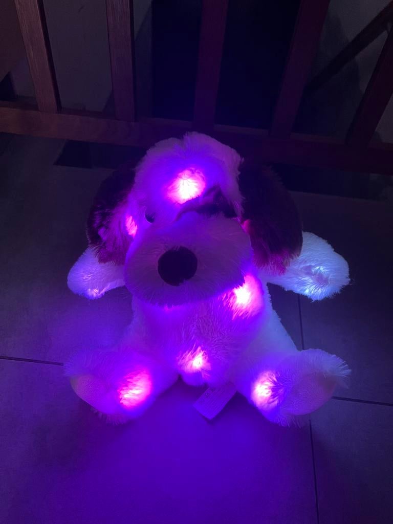 Jouet à piles Glow pour chiots, Enlèvement ou Envoi, Comme neuf, Chien