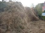 fumier de cheval gratuit rance canon, Enlèvement, Fumier