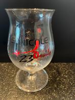 Duvel glas, Ophalen of Verzenden, Zo goed als nieuw, Glas of Glazen, Duvel