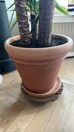 Pot de fleurs en terre cuite avec couvercle, Enlèvement, Comme neuf, Terracotta