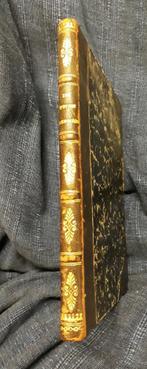 De twee weezen. Een boeiend verhaal uit het Parijsche leven, Ophalen of Verzenden