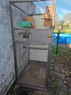 Papegaai kooi of voliere met 1 blauwe kakariki, Enlèvement