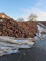 Voederbieten, Zakelijke goederen, Ophalen