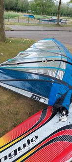Surfzeil Loftsails 7.3m, Watersport en Boten, Windsurfen, Ophalen, 7 m² of meer, Zeil, Gebruikt