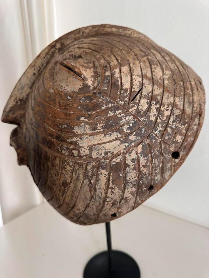 Songye Luba Kifwebe masker coll. Antropoloog Congo 1950, Antiek en Kunst, Kunst | Niet-Westerse kunst, Verzenden