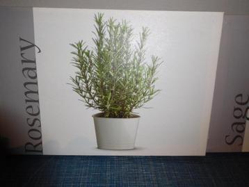 canvas doek met tuinkruiden beschikbaar voor biedingen