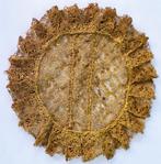 Religieus gouddraad kelkkleedje diameter 20 cm, Antiek en Kunst, Ophalen of Verzenden