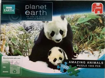 Puzzel panda’s (Planet Earth-1000 stukjes) beschikbaar voor biedingen