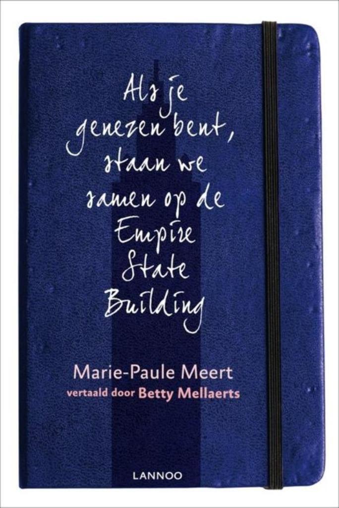 boek: als je genezen bent; Marie-Paule Meert, Boeken, Gezondheid, Dieet en Voeding, Zo goed als nieuw, Gezondheid en Conditie
