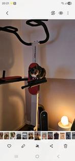 Weider Pro PT800, Ophalen