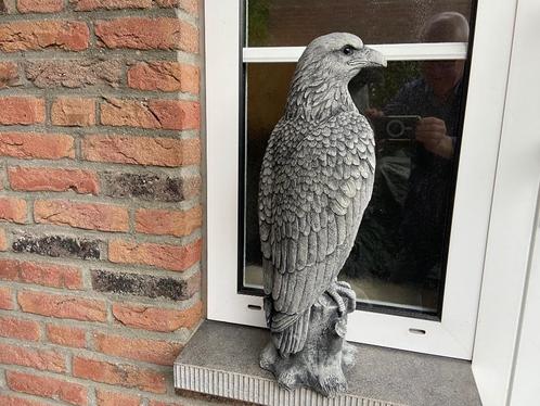 Roofvogel, Tuin en Terras, Tuinbeelden, Nieuw, Dierenbeeld, Beton, Ophalen