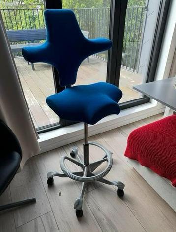 HAG Capisco 8106 beschikbaar voor biedingen