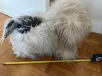 Pluche hond met lange haren ongeveer 58cm, Ophalen of Verzenden, Hond