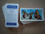 Butterflies of the World complete set 50 chromos vlinders, Verzamelen, 1960 tot 1980, Ophalen of Verzenden, Natuur