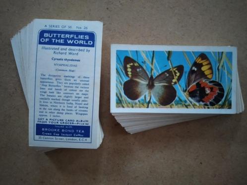 Butterflies of the World complete set 50 chromos vlinders, Collections, Photos & Gravures, Nature, 1960 à 1980, Enlèvement ou Envoi