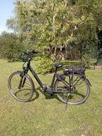 Elektrische fiets Pegasus Siena E7F Plus, Neuf, Autres marques, 47 à 51 cm, 50 km par batterie ou plus