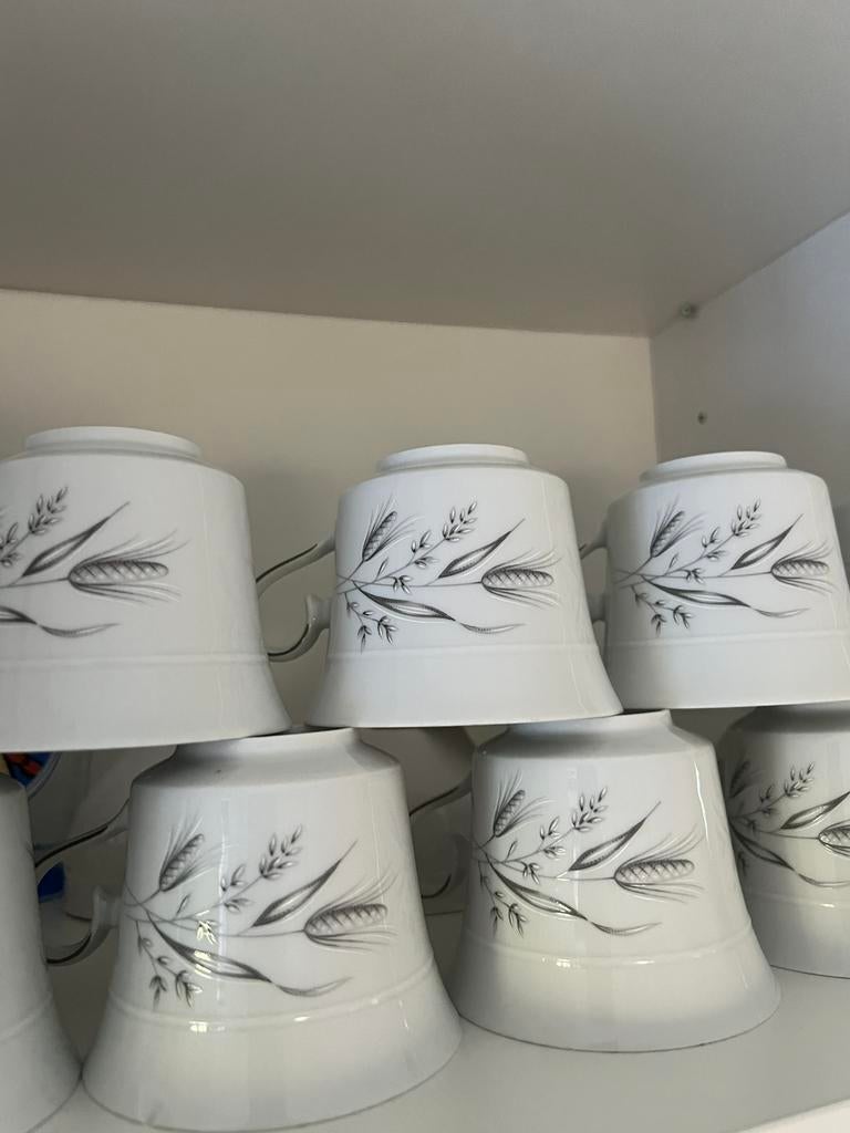 Vintage koffie-/serviesset met grijs korenmotief, Huis en Inrichting, Keuken | Servies, Bord(en), Porselein, Ophalen