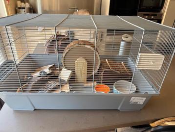 Hamsterkooi  beschikbaar voor biedingen