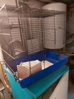 Grote kooi, Enlèvement