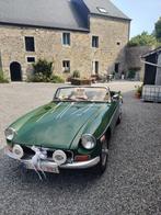 MG-B old timer, Auto's, MG, B, Achterwielaandrijving, Beige, 4 cilinders