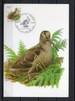 Année 2009 : Carte maximum 3898 - Oiseaux - Bécasse des bois, Timbres & Monnaies, Timbres | Europe | Belgique, Enlèvement ou Envoi