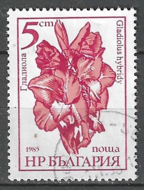 Bulgarije 1985 - Yvert 2957 - Gladiool (ST), Postzegels en Munten, Postzegels | Europa | Overig, Gestempeld, Bulgarije, Verzenden