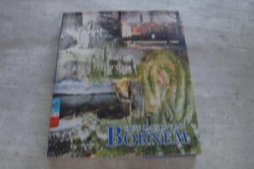 HET LAND VAN BORNEM  beschikbaar voor biedingen