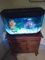 Aquarium, Dieren en Toebehoren, Vissen | Aquaria en Toebehoren, Ophalen