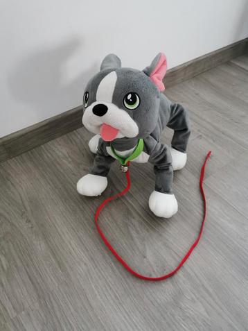 Peppy pups Franse bulldog beschikbaar voor biedingen