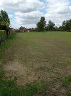 Weide te koop in Boortmeerbeek, Dieren en Toebehoren, Stalling en Weidegang